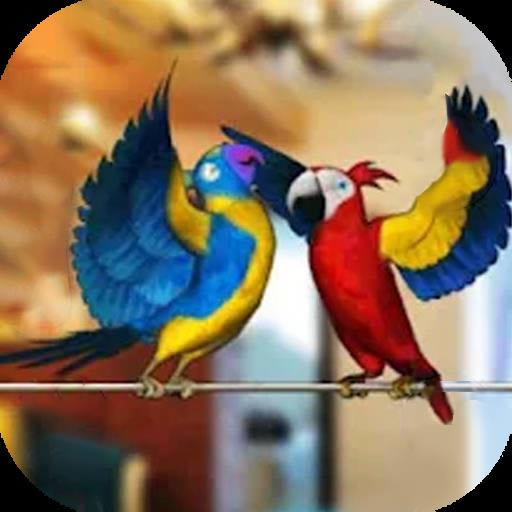 �������ģ���� v1.0.0 �ֻ���