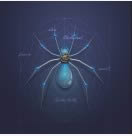 ����֩�� v1.0 ��Ϸ