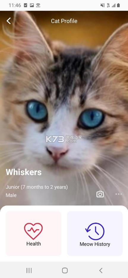 ˵meowtalk v1.0.3 İ ͼ