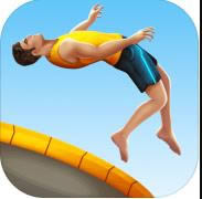 flip master v2.2.1 ���޽��