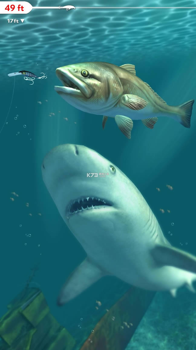 Rapala Fishing v1.6.24 ƽ ͼ