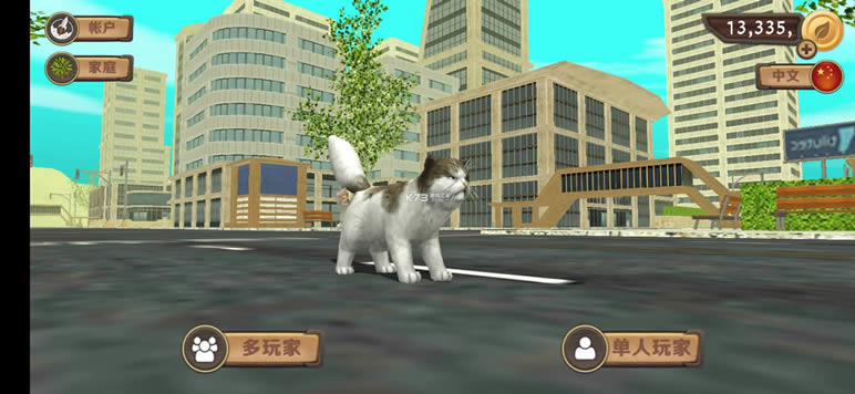 ����ģ��è v200 �ƽ�� ��ͼ