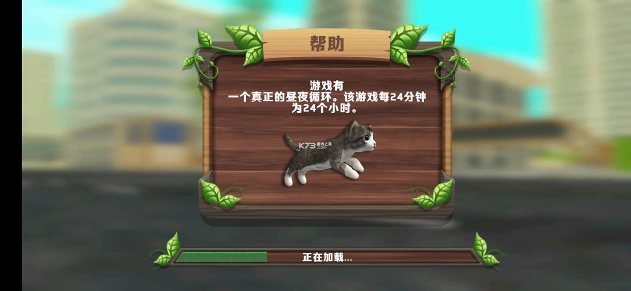 ����ģ��è v200 �ƽ�� ��ͼ