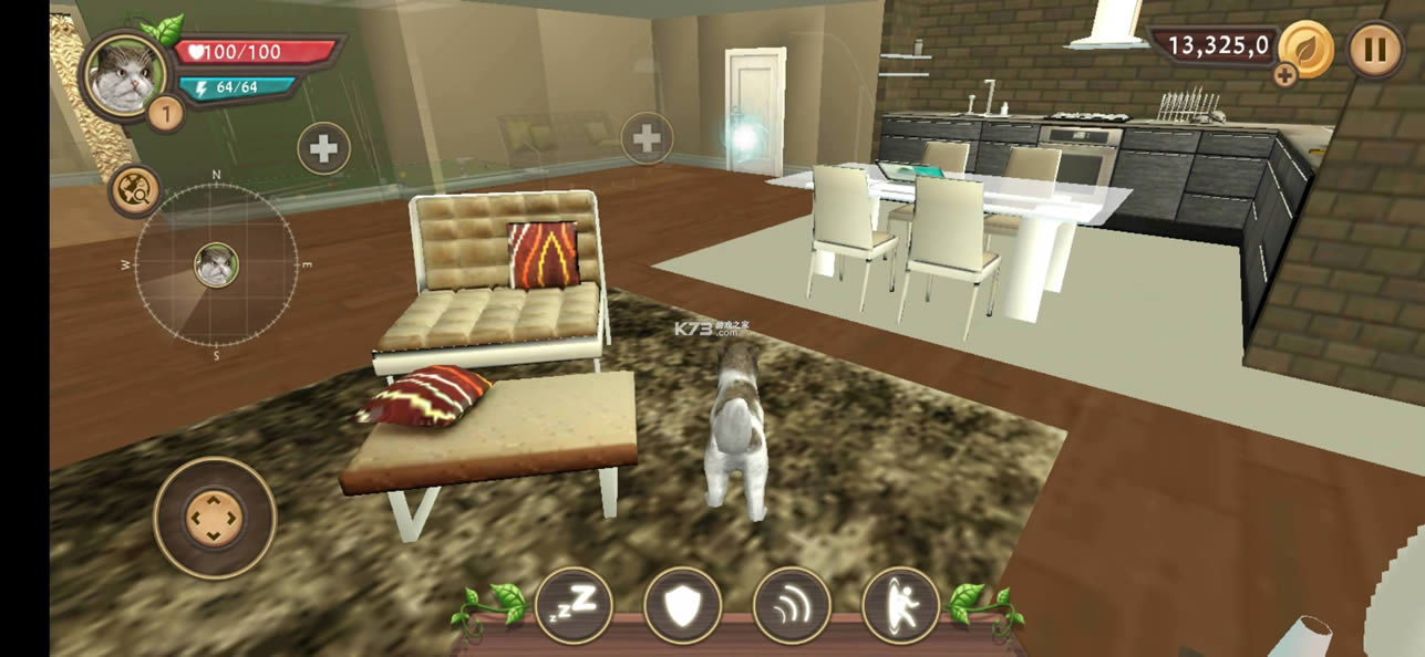 ����ģ��è v200 �ƽ�� ��ͼ