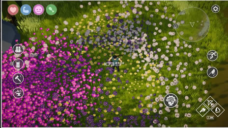 爱与荒野 v1.0 游戏 截图