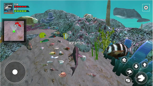 ������������ v1.0.0 ��׿�� ��ͼ