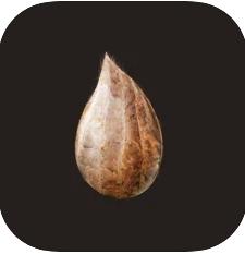 mitoza v1.9 ���°�