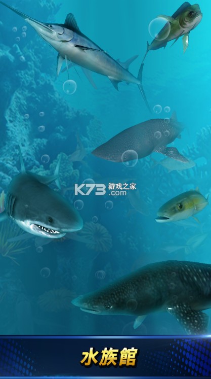 ��������2021 v0.2.9 �ƽ�� ��ͼ