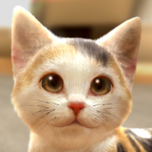 ���ҵ�è�� v1.0.0 ��Ϸ��׿��