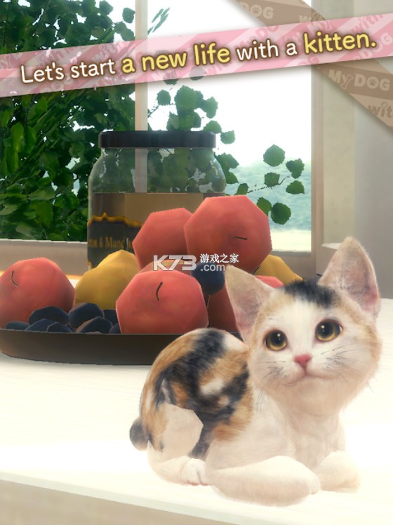 与我的猫咪 v1.0.0 游戏安卓版 截图