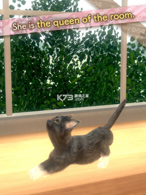 ���ҵ�è����Ϸ�ֻ���׿��-���ҵ�è����������v1.0.0