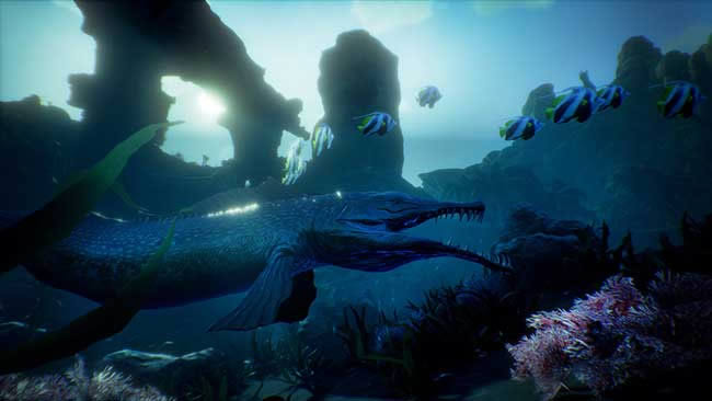 �����߿�������,�����߿��� �ⰲװ������ɫ������