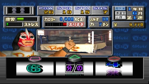 PS休闲模拟《筋番付肉3》日版下载