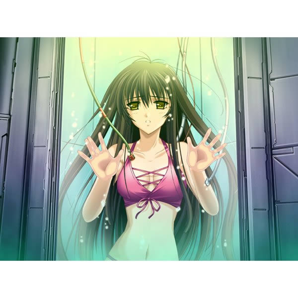 PS2《不确定世界的侦探绅士:恶行双麻的事件档案》日版下载