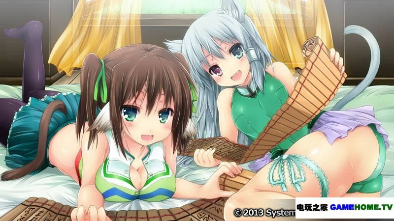 PSP《三极姬2：天下霸统 狮之继承者》日版免费提供下载下载-电玩之家