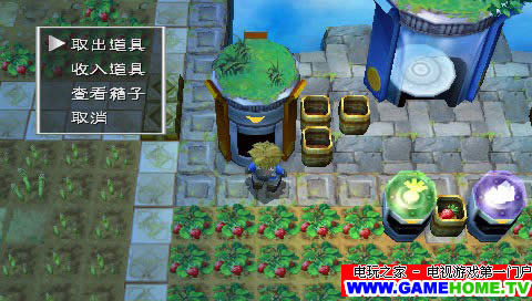 PSP《新牧场物语:无暇人生》汉化版下载