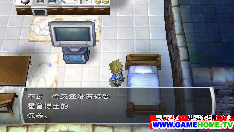 PSP《新牧场物语:无暇人生》汉化版下载